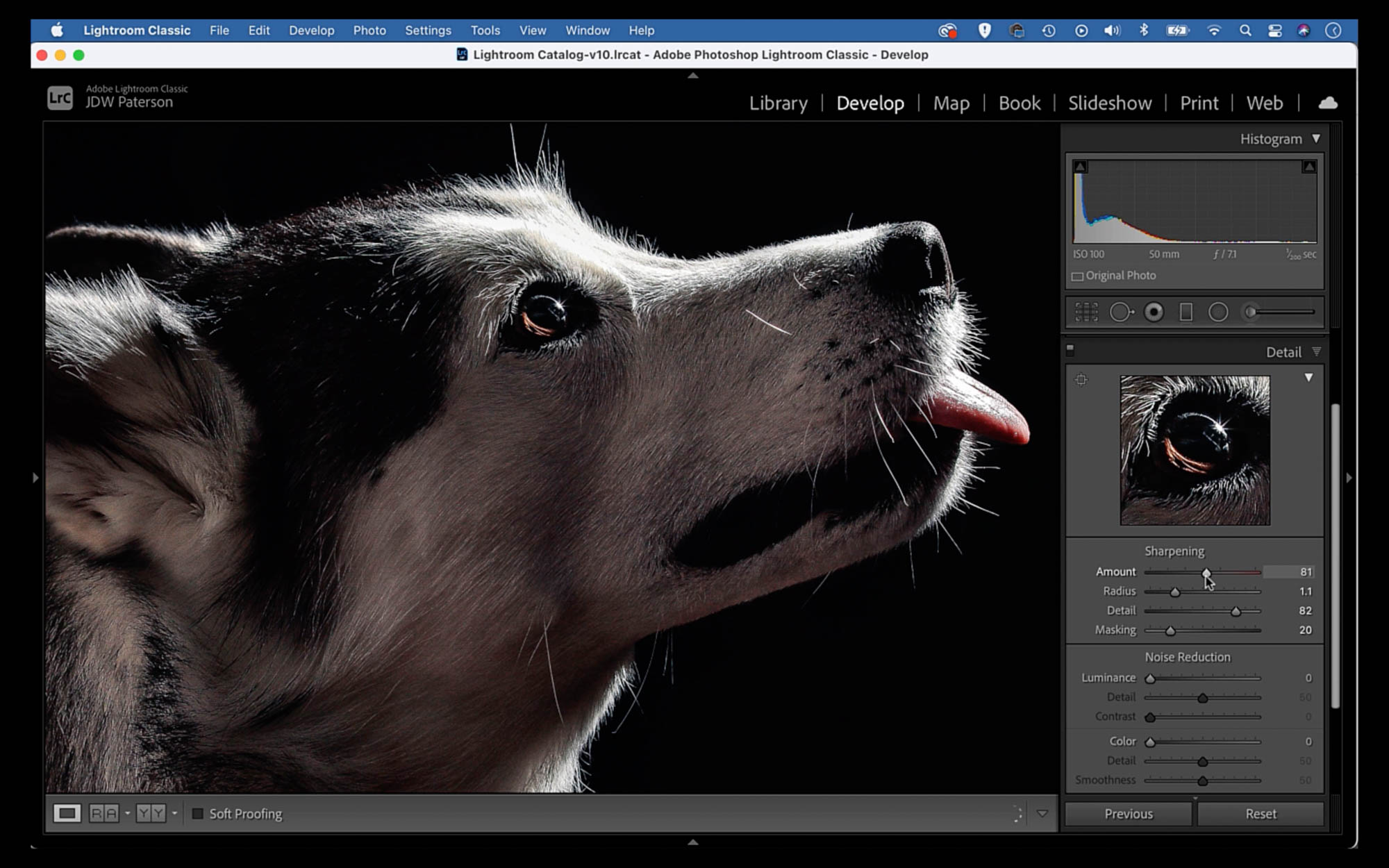Focus How to sharpen your photos the right way in Lightroom